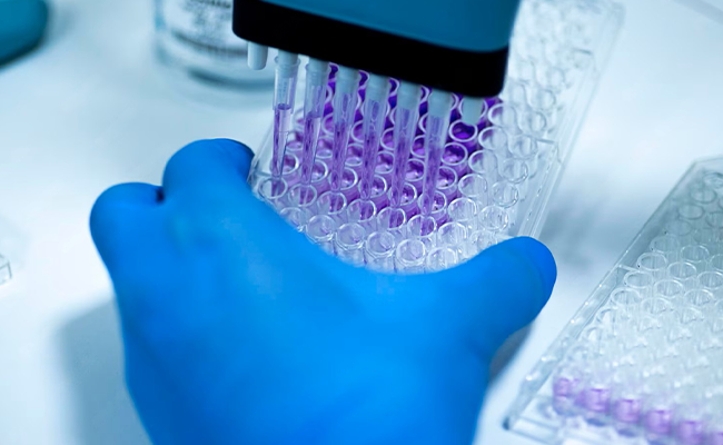 Enzyme Activity Assay